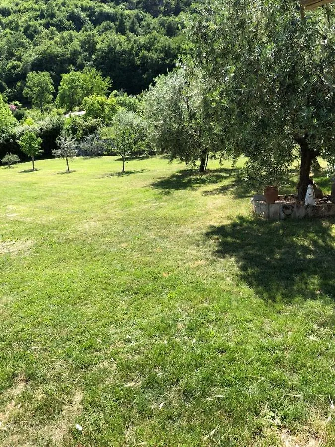 Appartamento Casa Teodoro - Gelsomino, Ulivi & Orchidea Tignale