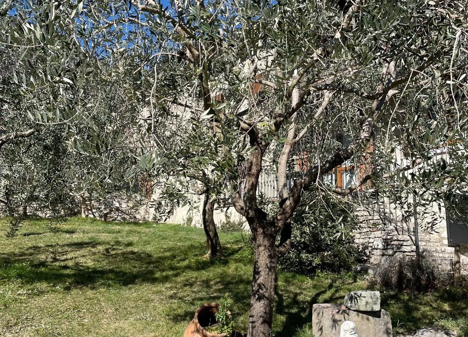 Appartamento Casa Teodoro - Gelsomino, Ulivi & Orchidea Tignale